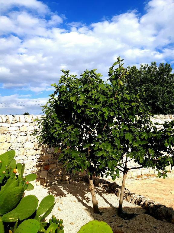 Casa Serrafiori Masseria Ciancio מראה חיצוני תמונה